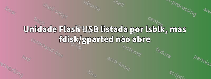 Unidade Flash USB listada por lsblk, mas fdisk/gparted não abre