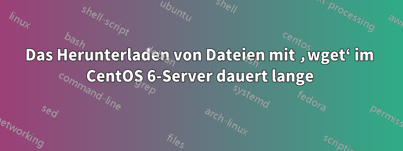 Das Herunterladen von Dateien mit ‚wget‘ im CentOS 6-Server dauert lange