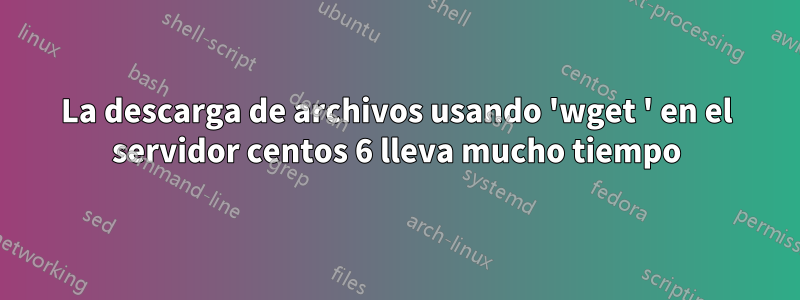 La descarga de archivos usando 'wget ' en el servidor centos 6 lleva mucho tiempo