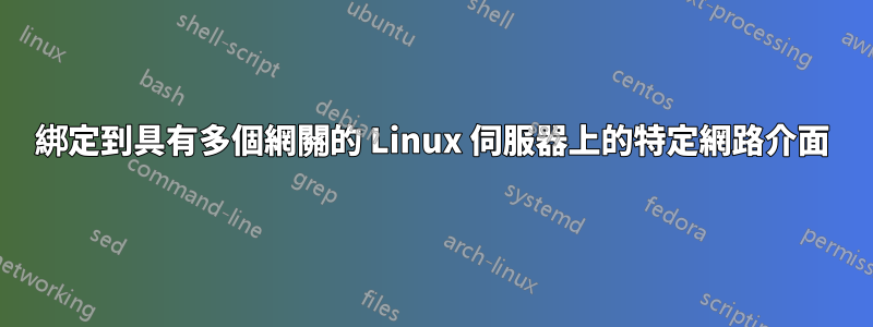 綁定到具有多個網關的 Linux 伺服器上的特定網路介面