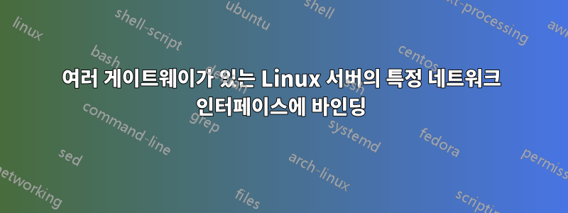 여러 게이트웨이가 있는 Linux 서버의 특정 네트워크 인터페이스에 바인딩