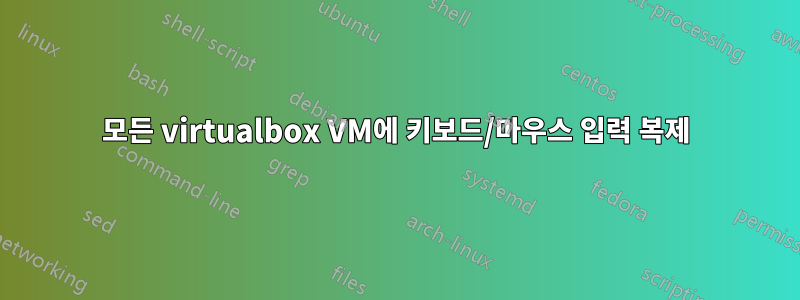 모든 virtualbox VM에 키보드/마우스 입력 복제