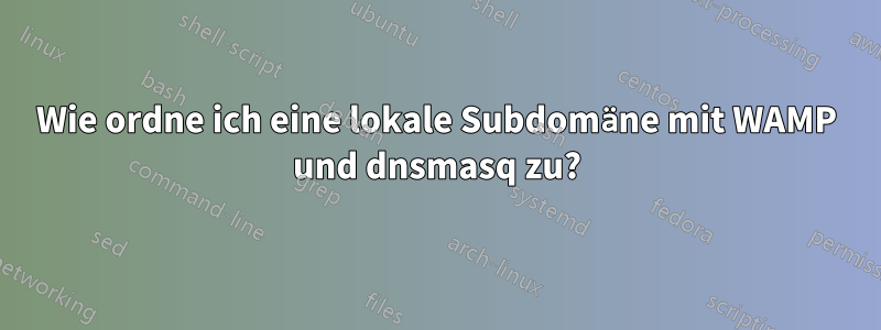 Wie ordne ich eine lokale Subdomäne mit WAMP und dnsmasq zu?