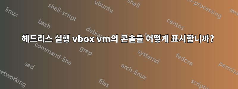 헤드리스 실행 vbox vm의 콘솔을 어떻게 표시합니까?