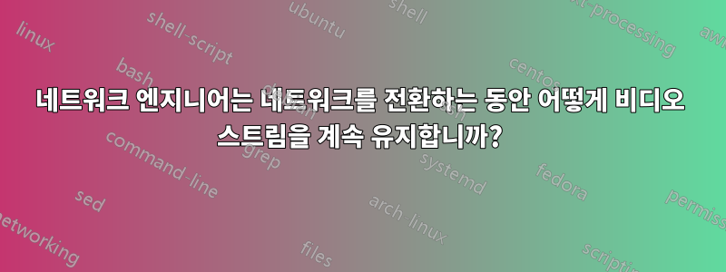 네트워크 엔지니어는 네트워크를 전환하는 동안 어떻게 비디오 스트림을 계속 유지합니까?