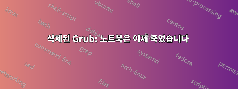 삭제된 Grub: 노트북은 이제 죽었습니다