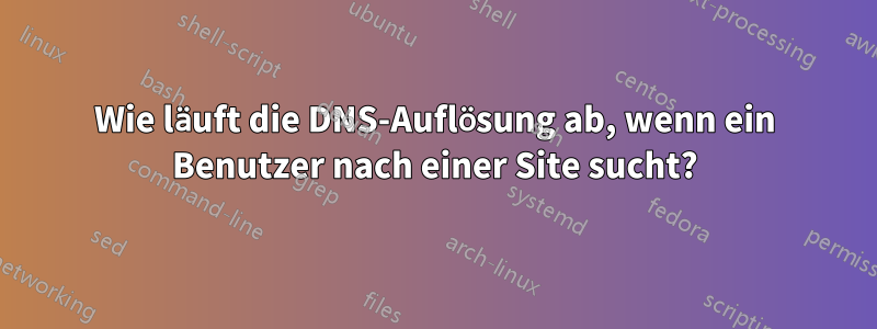 Wie läuft die DNS-Auflösung ab, wenn ein Benutzer nach einer Site sucht?