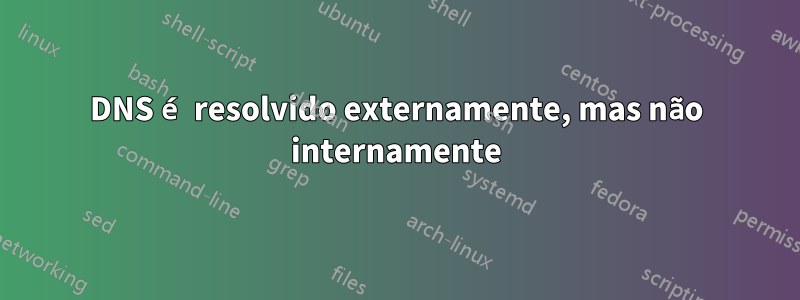 DNS é resolvido externamente, mas não internamente