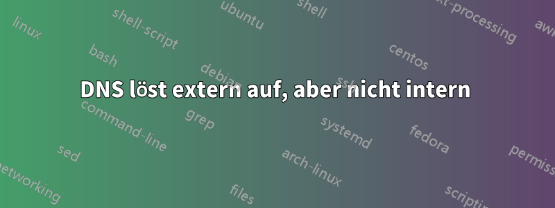 DNS löst extern auf, aber nicht intern