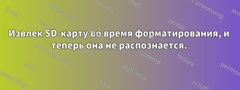 Извлек SD-карту во время форматирования, и теперь она не распознается.