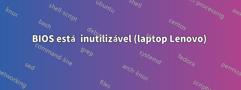 BIOS está inutilizável (laptop Lenovo)