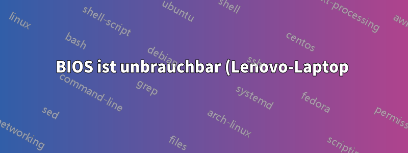 BIOS ist unbrauchbar (Lenovo-Laptop)