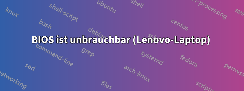 BIOS ist unbrauchbar (Lenovo-Laptop)