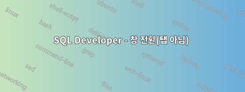 SQL Developer - 창 전환(탭 아님)