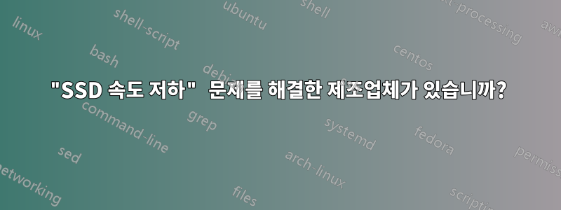 "SSD 속도 저하" 문제를 해결한 제조업체가 있습니까?
