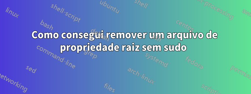 Como consegui remover um arquivo de propriedade raiz sem sudo