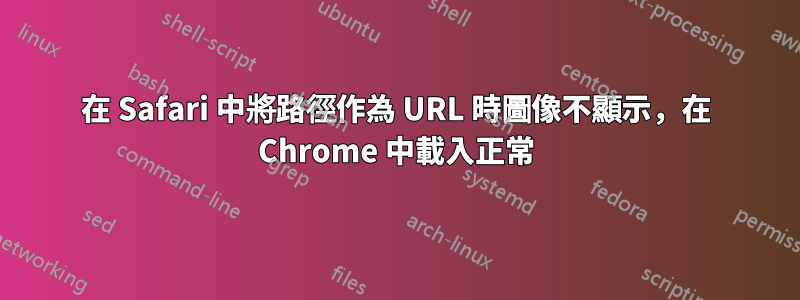 在 Safari 中將路徑作為 URL 時圖像不顯示，在 Chrome 中載入正常