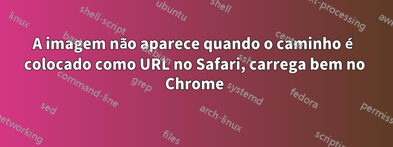 A imagem não aparece quando o caminho é colocado como URL no Safari, carrega bem no Chrome
