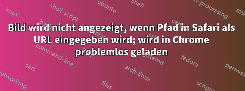 Bild wird nicht angezeigt, wenn Pfad in Safari als URL eingegeben wird; wird in Chrome problemlos geladen