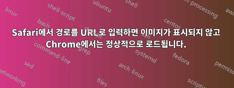 Safari에서 경로를 URL로 입력하면 이미지가 표시되지 않고 Chrome에서는 정상적으로 로드됩니다.
