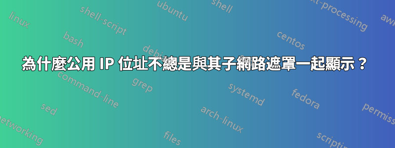 為什麼公用 IP 位址不總是與其子網路遮罩一起顯示？