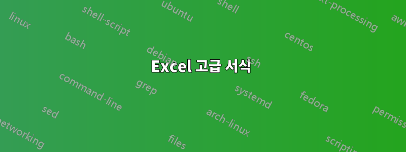 Excel 고급 서식