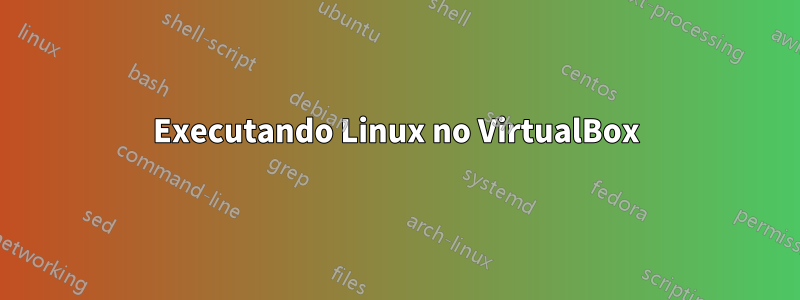 Executando Linux no VirtualBox
