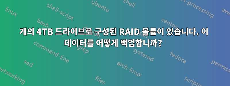 6개의 4TB 드라이브로 구성된 RAID 볼륨이 있습니다. 이 데이터를 어떻게 백업합니까? 