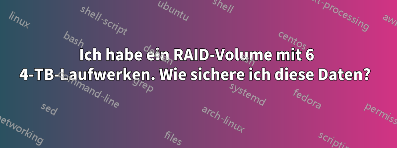Ich habe ein RAID-Volume mit 6 4-TB-Laufwerken. Wie sichere ich diese Daten? 