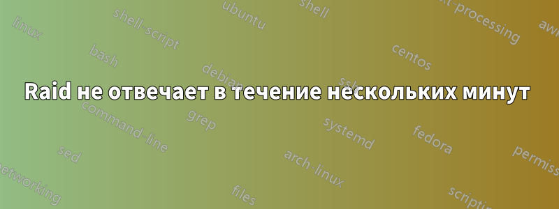Raid не отвечает в течение нескольких минут