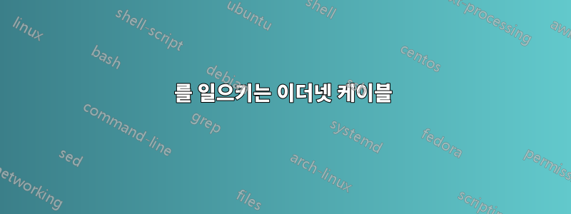 404를 일으키는 이더넷 케이블