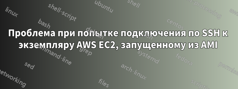 Проблема при попытке подключения по SSH к экземпляру AWS EC2, запущенному из AMI