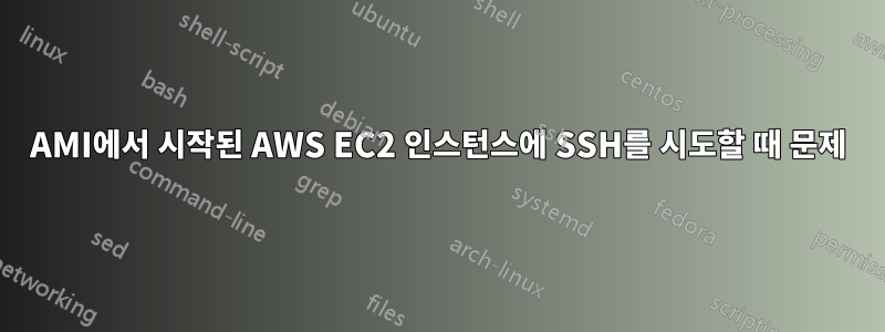 AMI에서 시작된 AWS EC2 인스턴스에 SSH를 시도할 때 문제