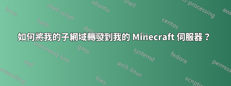 如何將我的子網域轉發到我的 Minecraft 伺服器？