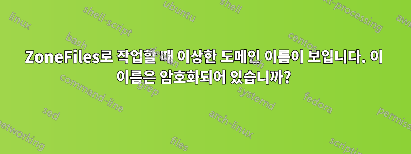 ZoneFiles로 작업할 때 이상한 도메인 이름이 보입니다. 이 이름은 암호화되어 있습니까?