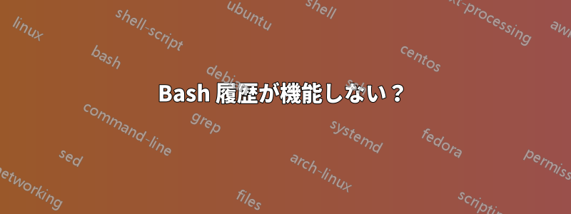 Bash 履歴が機能しない？