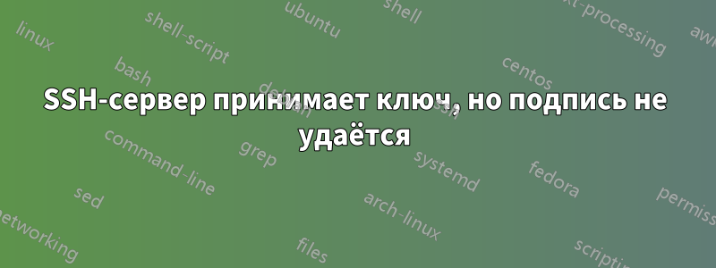 SSH-сервер принимает ключ, но подпись не удаётся