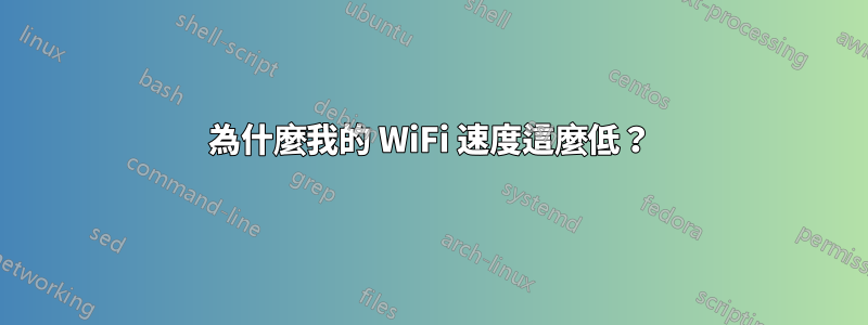 為什麼我的 WiFi 速度這麼低？