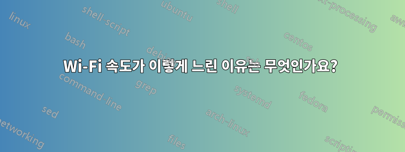 Wi-Fi 속도가 이렇게 느린 이유는 무엇인가요?