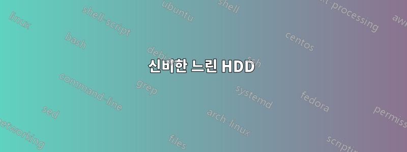 신비한 느린 HDD