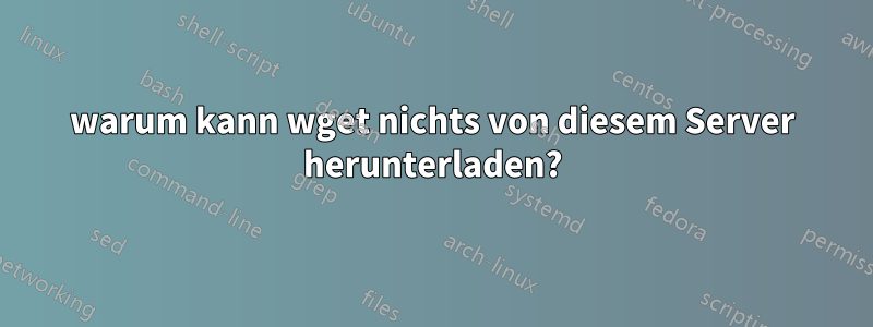 warum kann wget nichts von diesem Server herunterladen?