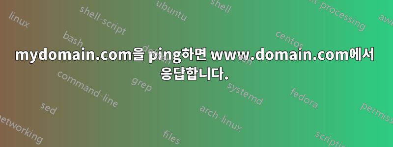 mydomain.com을 ping하면 www.domain.com에서 응답합니다.