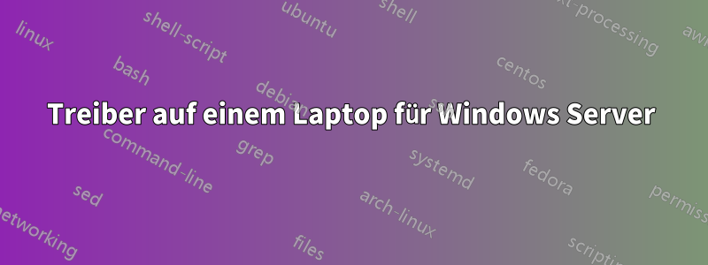 Treiber auf einem Laptop für Windows Server