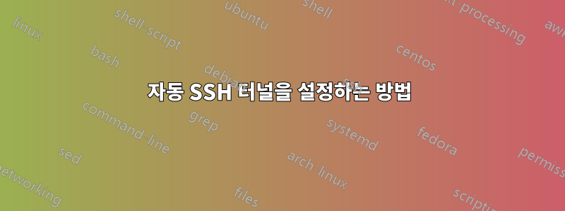 자동 SSH 터널을 설정하는 방법