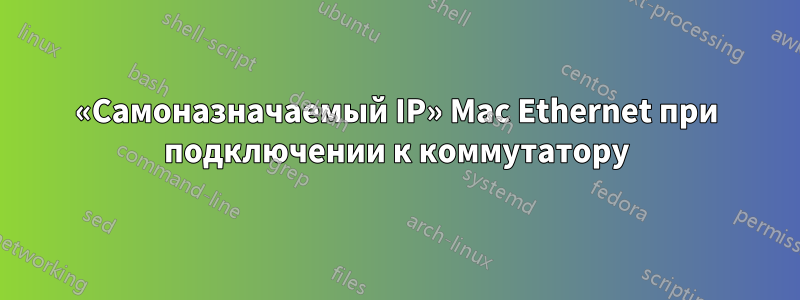 «Самоназначаемый IP» Mac Ethernet при подключении к коммутатору