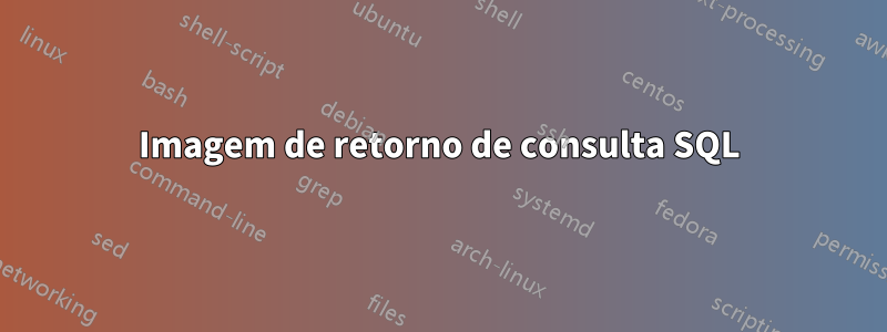 Imagem de retorno de consulta SQL