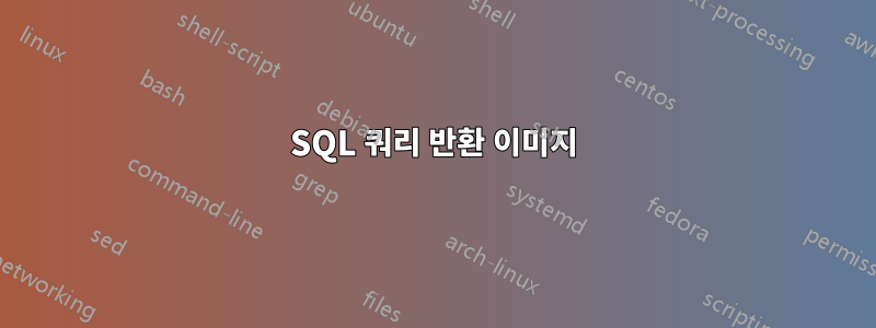 SQL 쿼리 반환 이미지