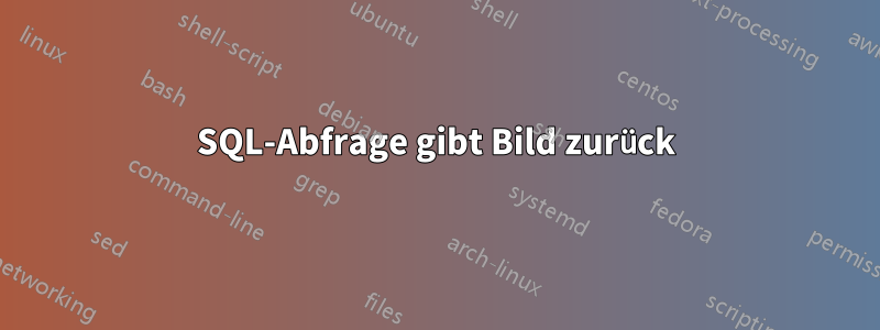 SQL-Abfrage gibt Bild zurück