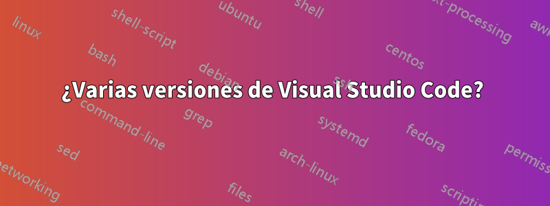 ¿Varias versiones de Visual Studio Code?