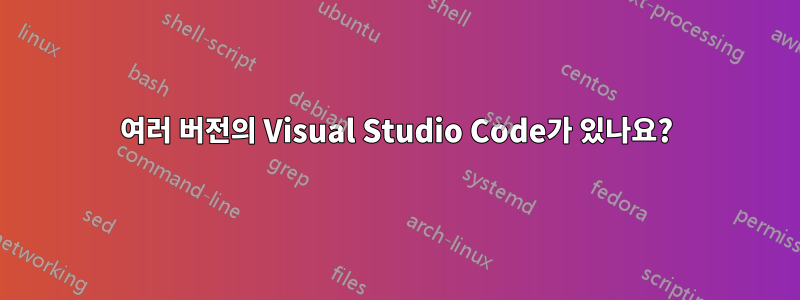 여러 버전의 Visual Studio Code가 있나요?